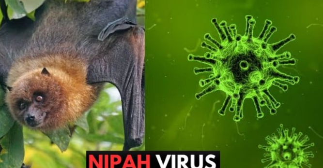 Phòng mổ sáng đèn suốt Tết Bính Ngọ, các bác sĩ thực hiện hơn 22.000 ca phẫu thuật